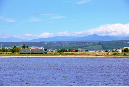 大学と地域SV背景画像